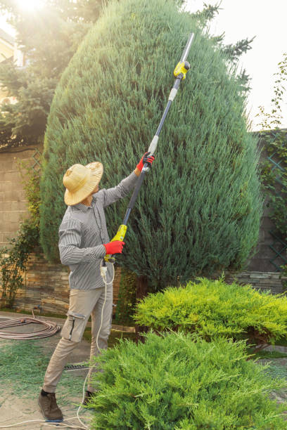Best Lawn Irrigation Installation and Maintenance  in Midway, GA